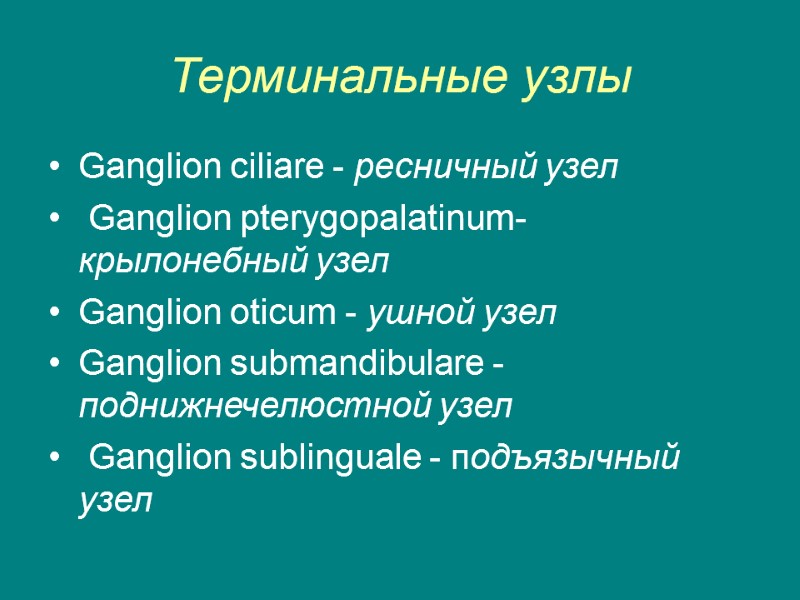 Терминальные узлы Ganglion ciliare - ресничный узел  Ganglion pterygopalatinum- крылонебный узел  Ganglion